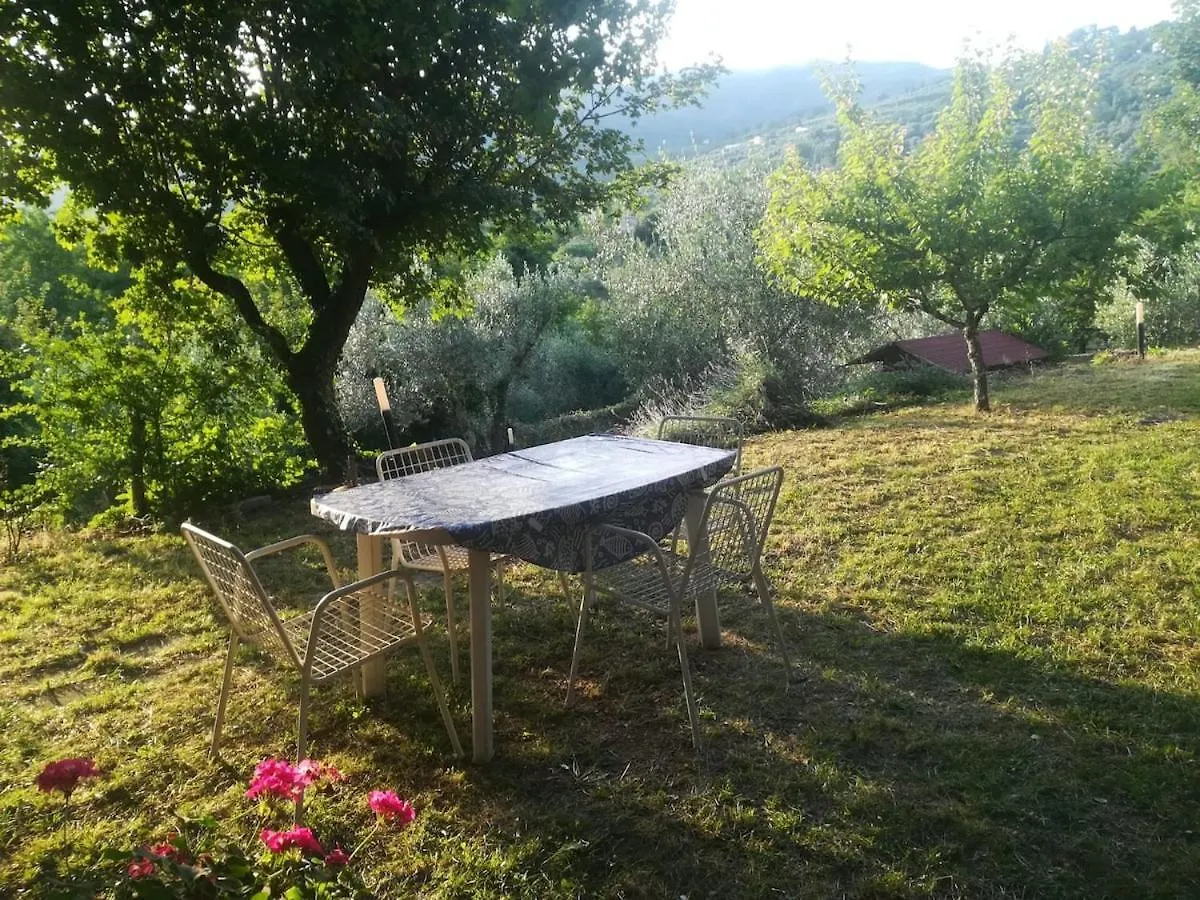 Apartment In Ancient Historic Villa Near Florence Rufina Italy